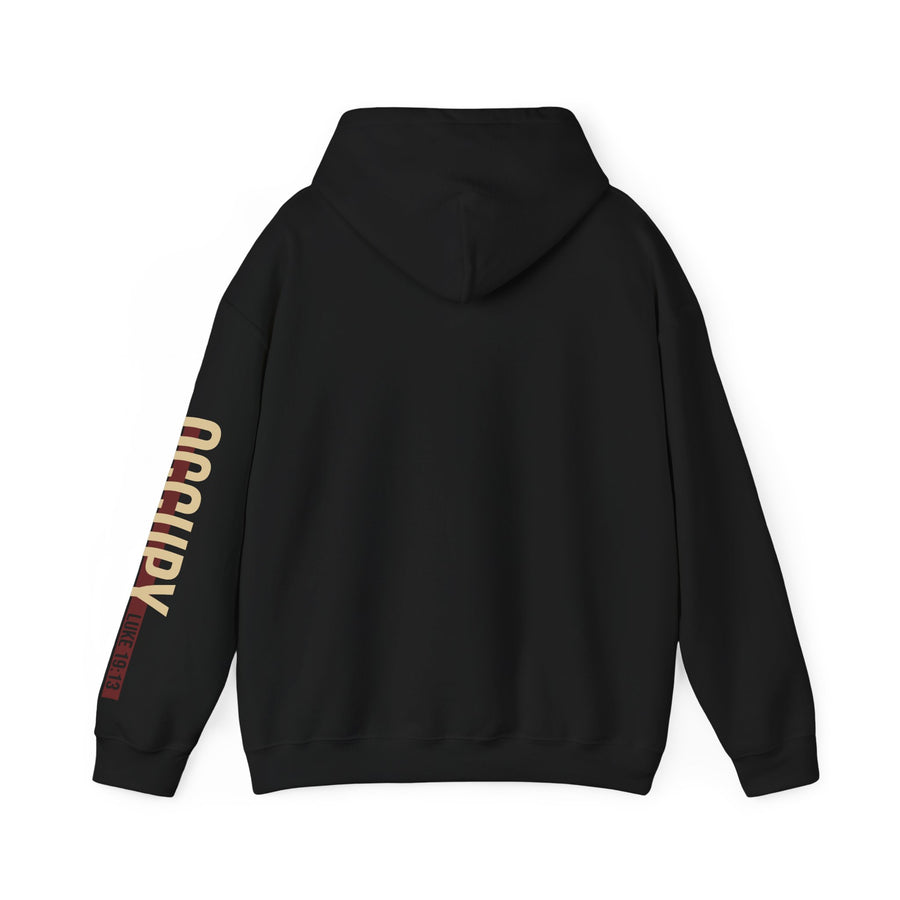 The OG "Occupy" DMA Hoodie
