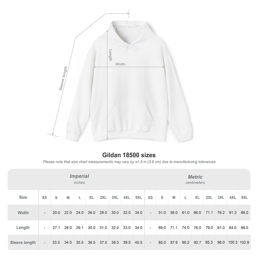 The OG "Occupy" DMA Hoodie